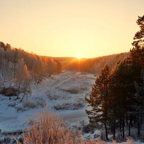 Березовая роща каменск уральский фото